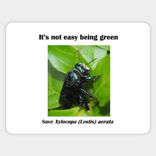 It's not easy being green Sticker